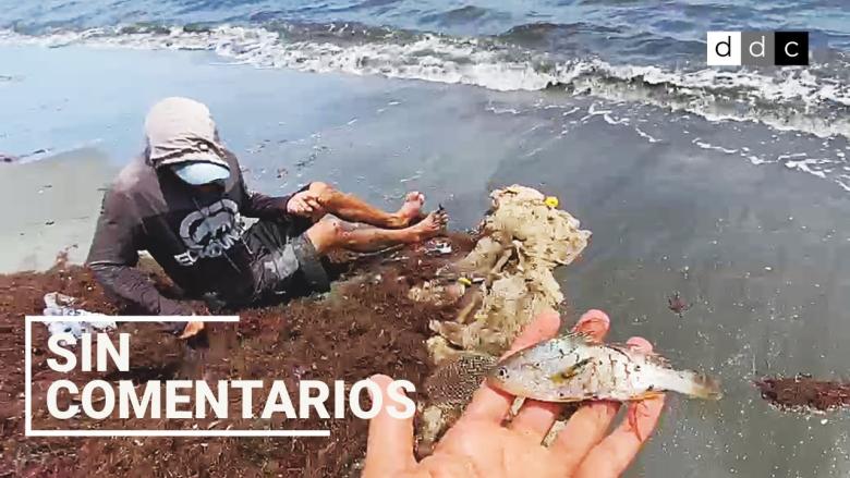 Así lo hacen estos pescadores de Holguín.