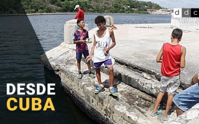 Para matar el aburrimiento, para dárselo a los gatos: niños que pescan en La Habana