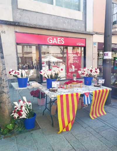 Sant Jordi