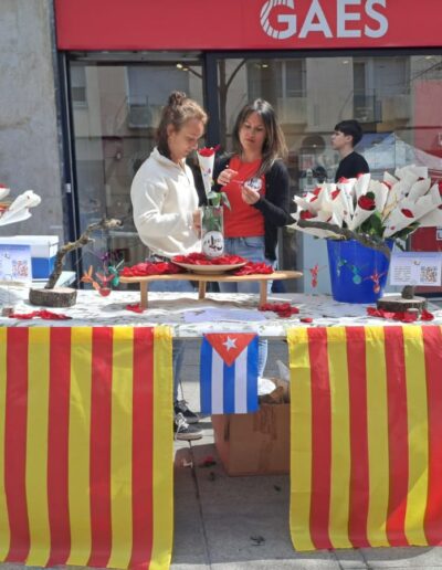 Sant Jordi