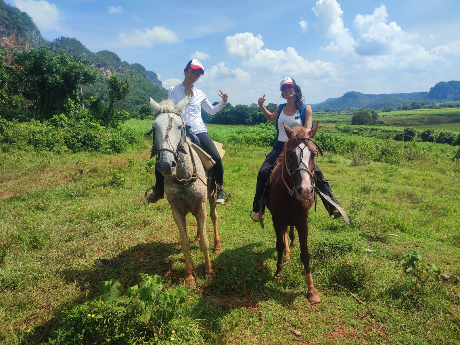 Caballos